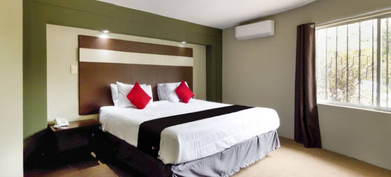 萨尔蒂洛拉富恩特酒店(Hotel la Fuente, Saltillo)图片