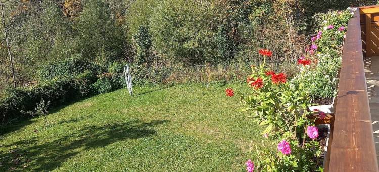 阿列古斯塔(Alie Gusta)图片