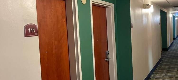 夸利蒂酒店(Quality Inn)图片