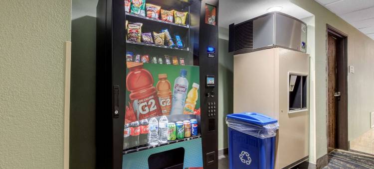 品质酒店(Quality Inn)图片