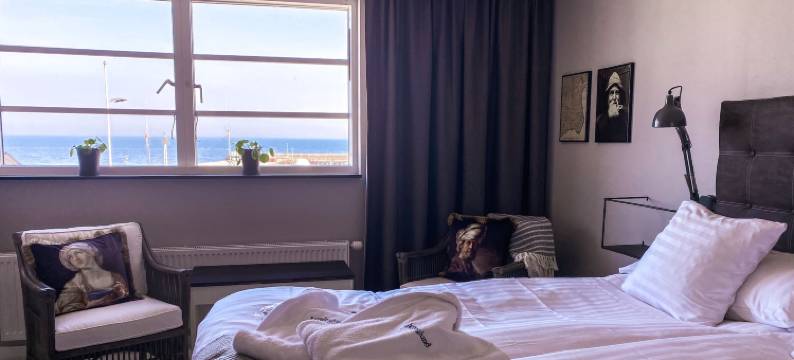 邦斯卡别墅(Bongska Huset)图片