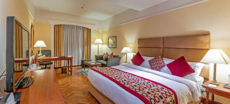 加德满都丽筠酒店(Radisson Hotel Kathmandu)图片