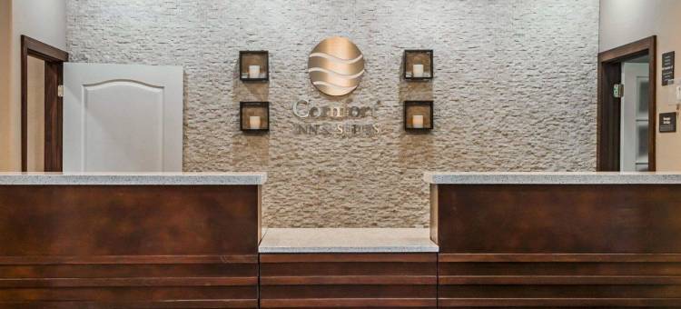 舒适酒店及套房(Comfort Inn & Suites Pharr/McAllen)图片