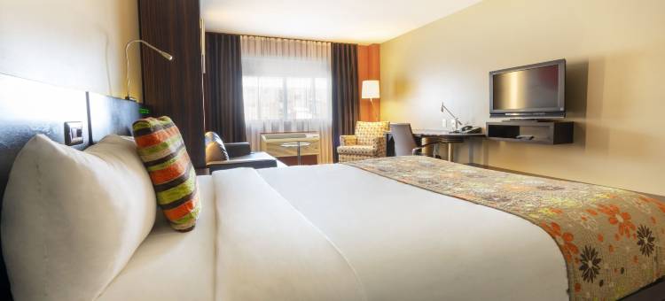 马斯特酒店(Hotel Must)图片