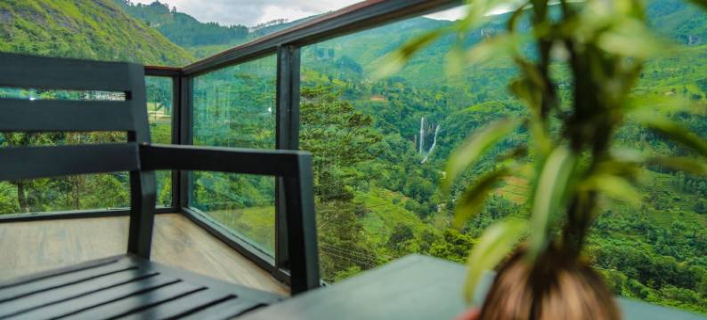橡光茶语山居(Oak Ray Tea Bush)图片