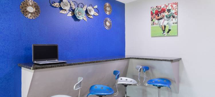 麦克道尔-塔斯卡卢萨麦客达套房酒店(Microtel Inn & Suites by Wyndham Tuscaloosa – East)图片