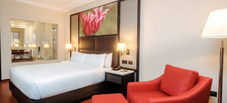 利马苏尔希尔顿花园酒店(Hilton Garden Inn Lima Surco)图片