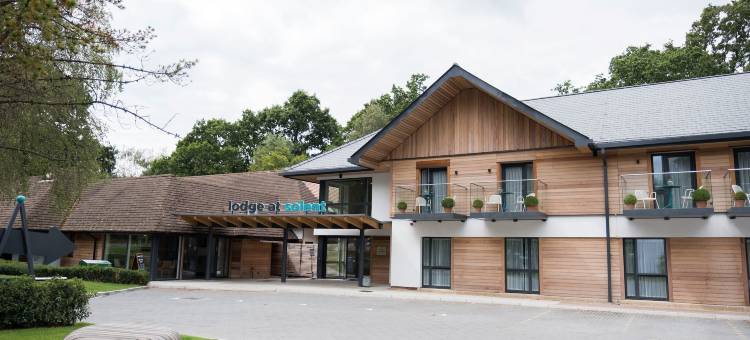 索伦特酒店(Lodge at Solent)图片