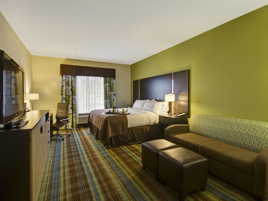 Holiday Inn 克里斯琴斯堡布莱克斯堡