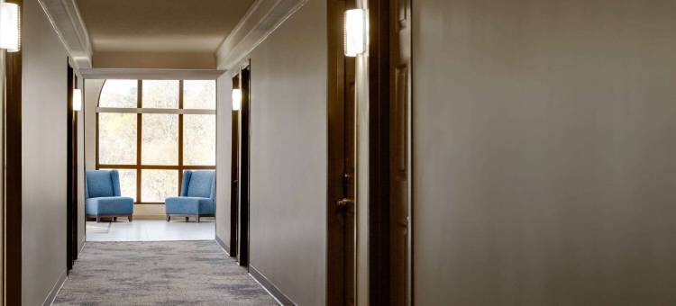 威廉斯堡蔚景温德姆酒店(Wingate by Wyndham Williamsburg)图片