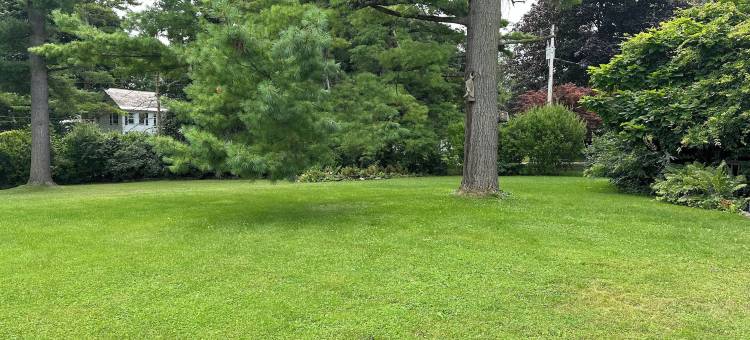 Hotel Vervana, Trademark Collection by Wyndham图片