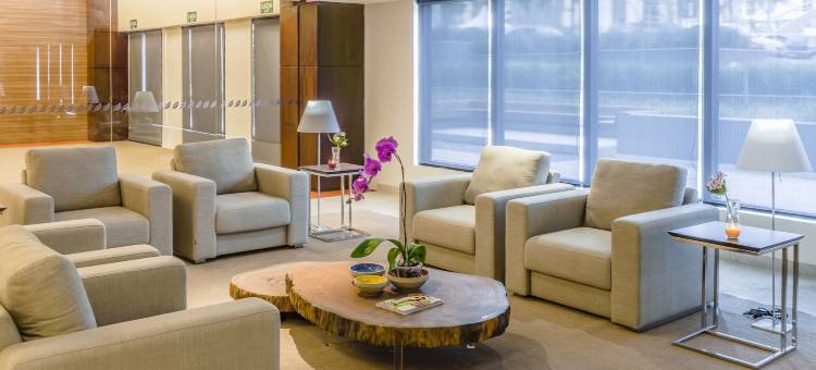 阿尔法村蓝树高级酒店(Blue Tree Premium Alphaville)图片