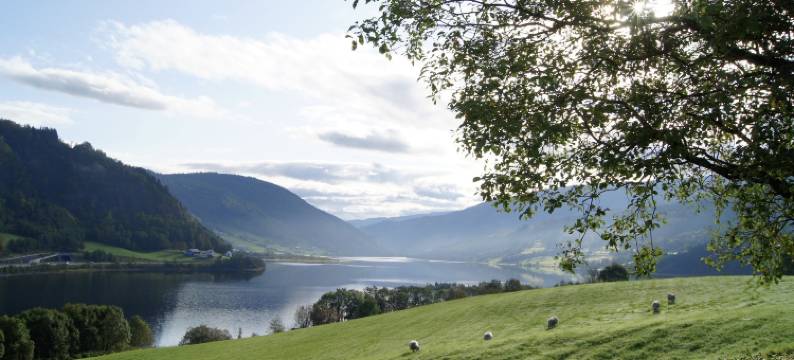 兰德特内旅馆(Lilandtunet Gjestgiveri)图片