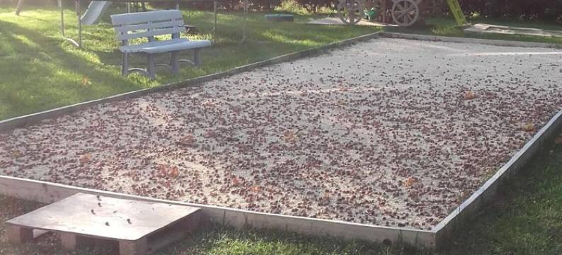 普伊德莱昂唐小屋家庭旅馆(Chambres d'Hotes Gite du Puy de l'Étang)图片