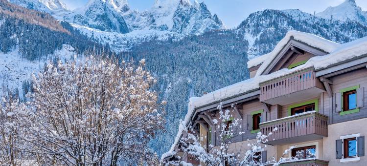 皮埃尔高级酒店(Résidence Pierre & Vacances Premium la Ginabelle)图片