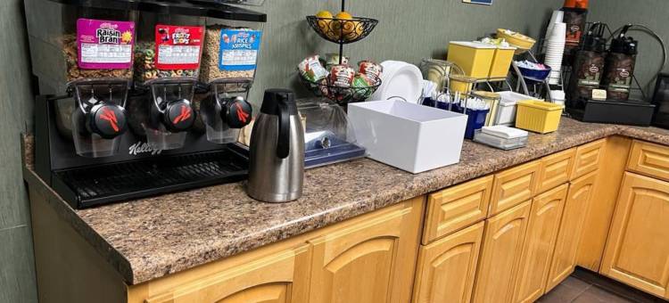 锡达福尔斯大学广场温德姆戴斯酒店(Days Inn by Wyndham Cedar Falls- University Plaza)图片