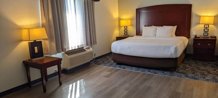 沃思堡东北购物中心拉昆塔温德姆套房酒店(La Quinta Inn & Suites by Wyndham Fort Worth NE Mall)图片