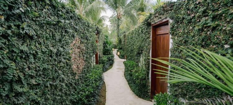 乌布公寓酒店(The Apartments Ubud)图片