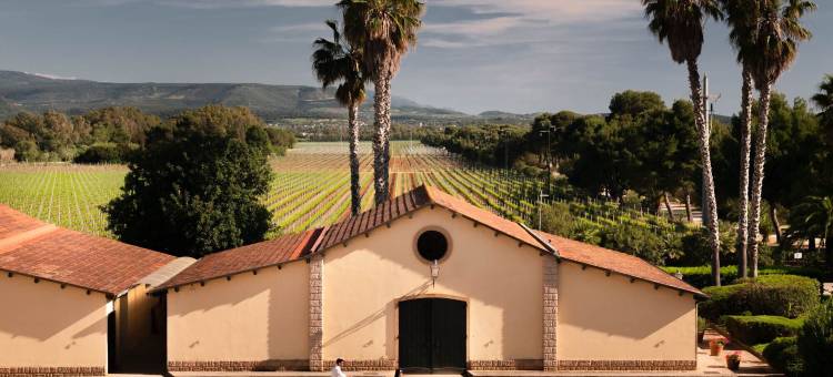 塞拉和莫斯卡别墅(Sella&Mosca Casa Villamarina)图片