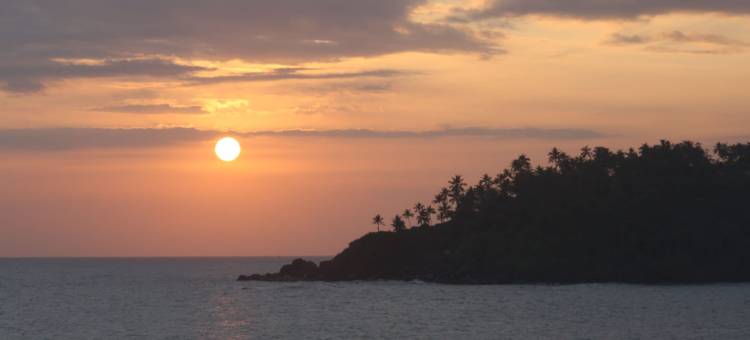 Nest住宅 - 旅舍(Nest Residence - Hostel)图片