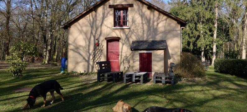 拉法桑德耶(La Faisanderie)图片