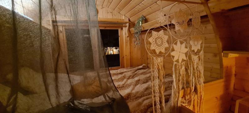 柳树的呼吸(Le Souffle du Saule)图片