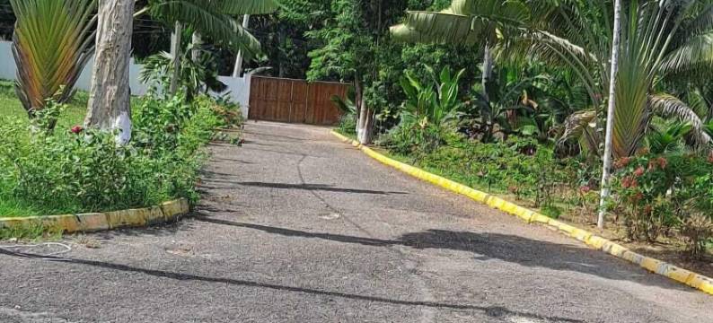 蓝海二号联合大厅(Blue Seas Two)图片