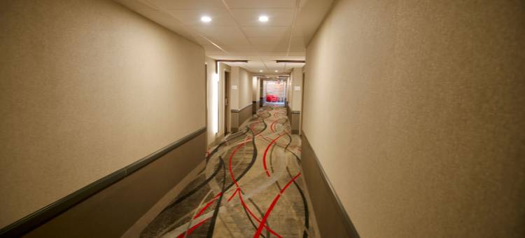 奥斯汀南华美达酒店(Ramada by Wyndham Austin South)图片