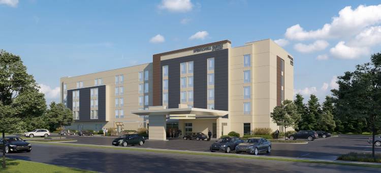 希尔营SpringHill套房酒店(SpringHill Suites Camp Hill)图片