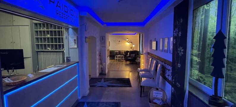 佩迪恩酒店(Hotel Paidion)图片