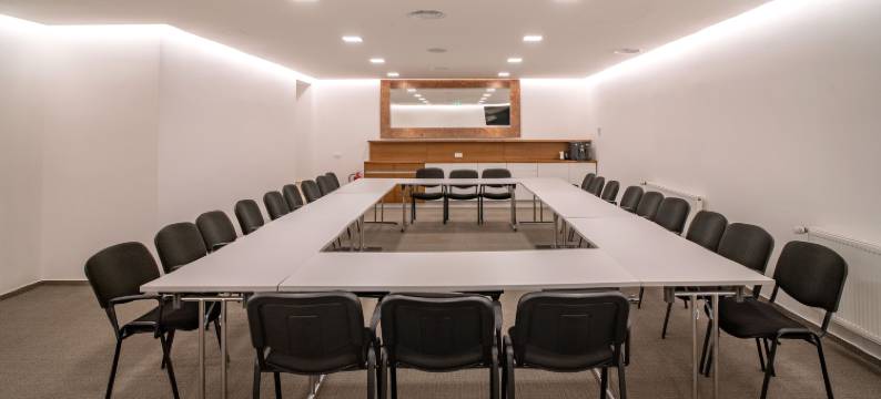 拿普利茨基酒店(Hotel U Kaplicky)图片