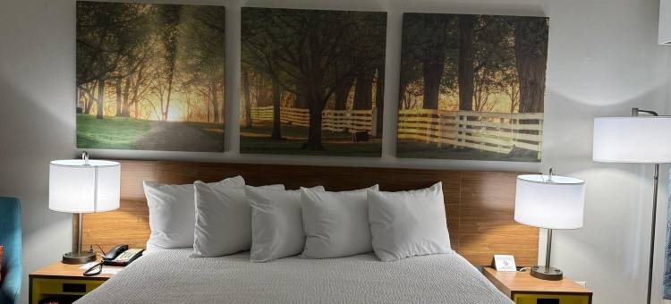 克兰顿酒店(Days Inn by Wyndham Clanton Al)图片