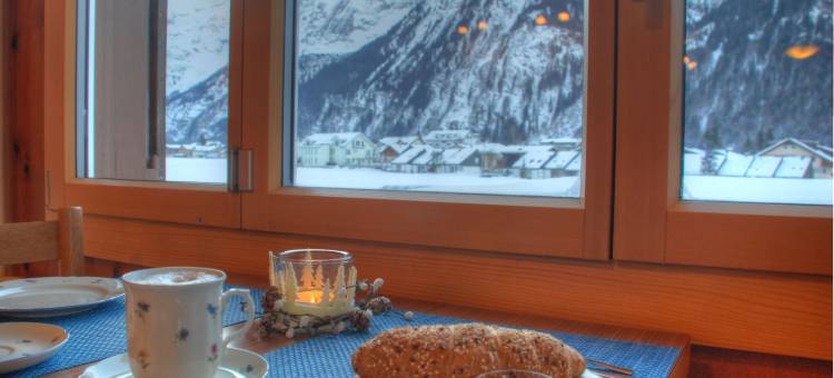 加尼霍斯塔特酒店(Hotel Garni Hostatt)图片