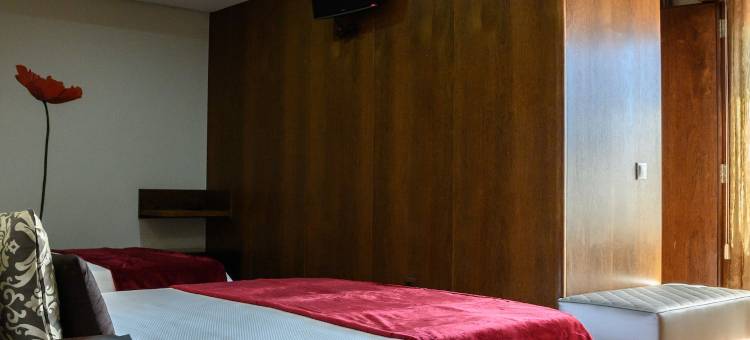 阿兰杜若酒店(Hotel Alendouro)图片