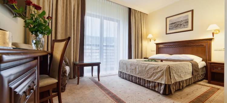 克雷尼察总统酒店(Hotel Prezydent Krynica Zdrój)图片