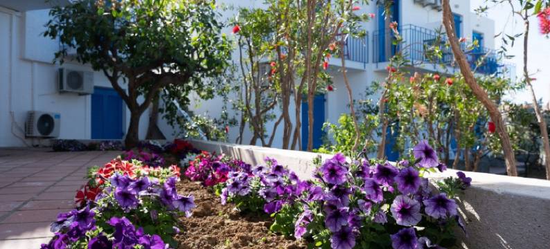 科奇村 - 限成人(Kirki Village-Adults Only)图片