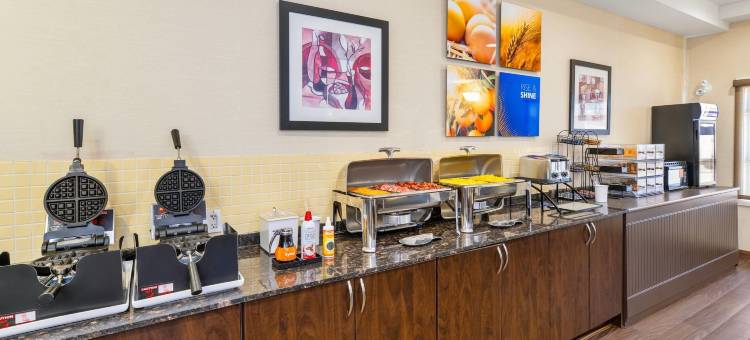 舒适酒店(Comfort Inn)图片