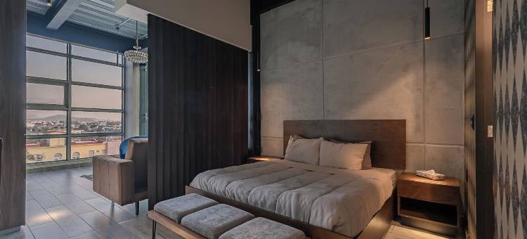 赫罗德先生的家(The Tropical Nest Womens Shared Hostel Room)图片