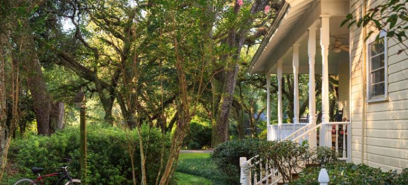 木槿泉民宿(Magnolia Springs Bed and Breakfast)图片