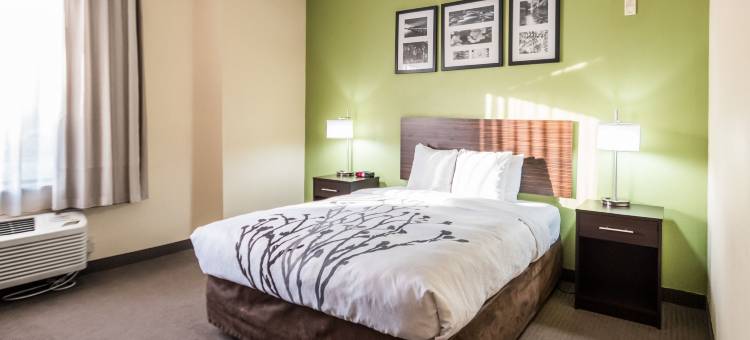 贝克斯菲尔德北舒眠套房酒店(Sleep Inn & Suites Bakersfield North)图片