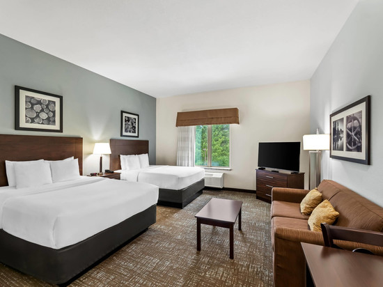 拉夫金美茵斯坦套房酒店