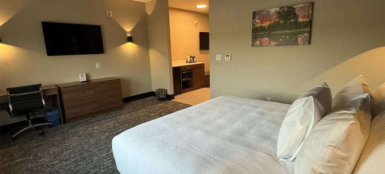 贝斯特韦斯特优质尼帕瓦酒店(Best Western Plus Neepawa Hotel)图片