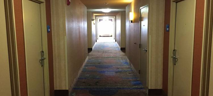 智选假日套房酒店芝加哥阿冈昆(Holiday Inn Express & Suites Chicago-Algonquin)图片