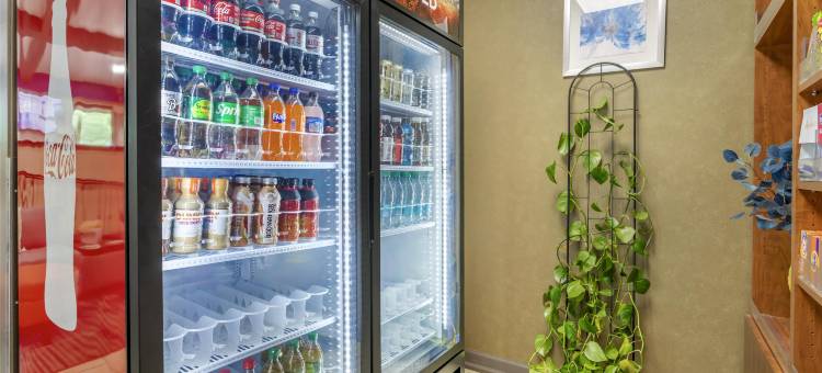 阿什维尔巴的摩尔东部贝斯特韦斯特酒店(Best Western Asheville Tunnel Road)图片