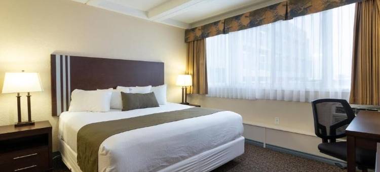 麦克默里堡BCM汽车旅馆 - 市中心(Bcm Inns Fort McMurray - Downtown)图片