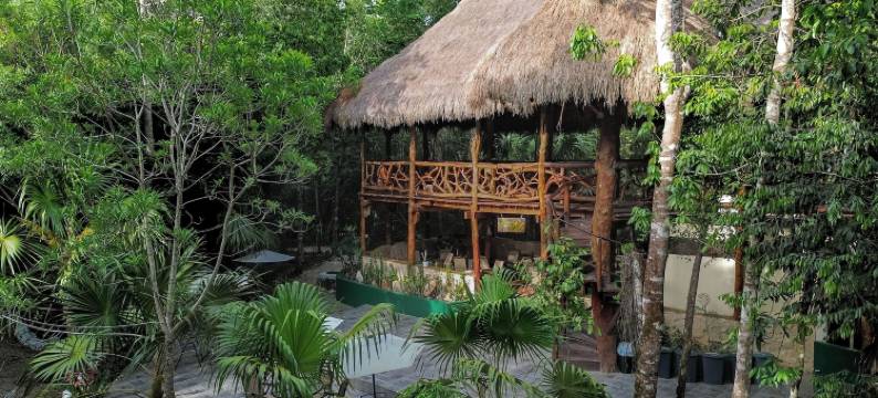 乔丽丛林生态酒店(Jolie Jungle Eco Hotel)图片