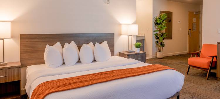 莫斯兰登点旅馆(Inn at Moss Landing Point)图片