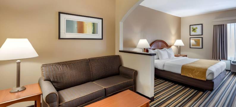 诺福克郡切萨皮克舒适套房酒店(Comfort Suites Chesapeake - Norfolk)图片