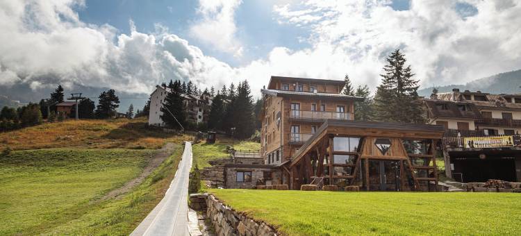 雪崩 - 阿尔卑斯精品酒店(Avalanche - Alpine Boutique Hotel)图片