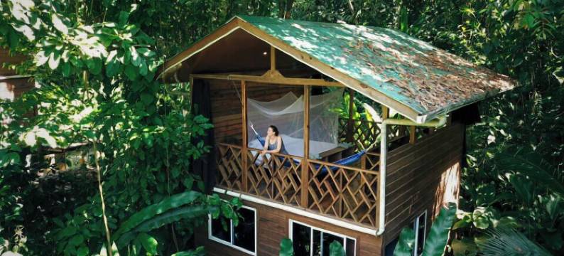 帕玛尔海滩小屋(Palmar Beach Lodge)图片